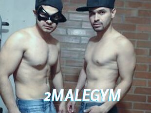 2MALEGYM