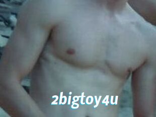 2bigtoy4u