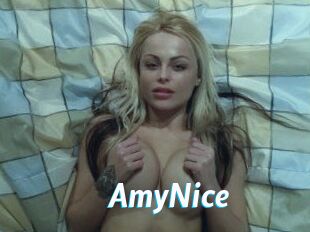 AmyNice