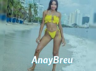 AnayBreu J Mine