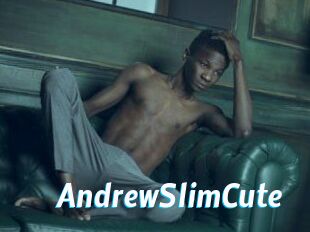 AndrewSlimCute