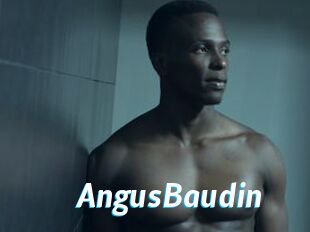 AngusBaudin