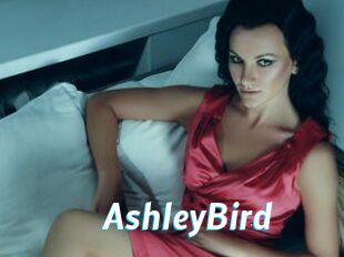 AshleyBird J Mine