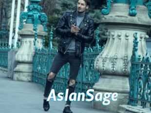 AslanSage