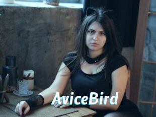 AviceBird