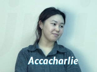 Accacharlie