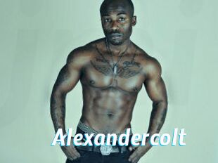 Alexandercolt