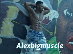 Alexbigmuscle