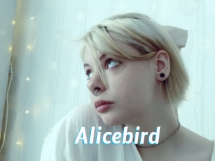 Alicebird