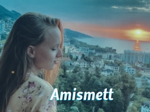 Amismett