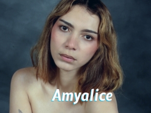 Amyalice