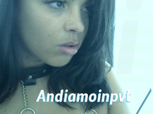 Andiamoinpvt