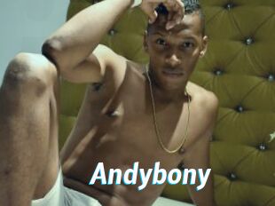 Andybony
