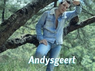 Andysgeert