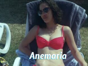 anemaria J Mine