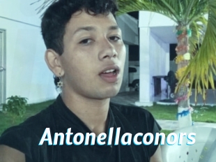 Antonellaconors