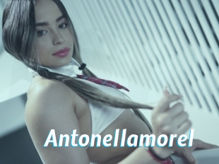 Antonellamorel