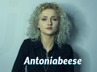 Antoniabeese