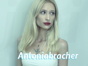 Antoniabracher