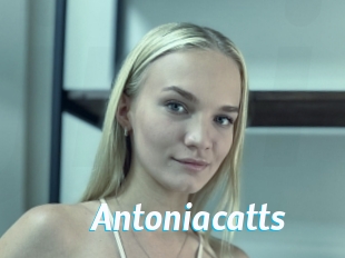 Antoniacatts