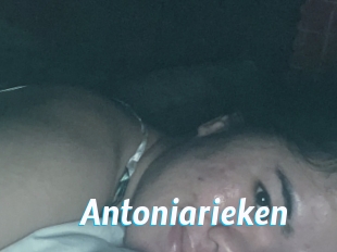 Antoniarieken