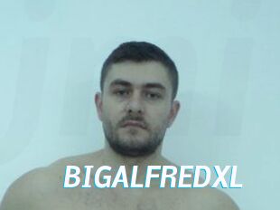 BIGALFREDXL