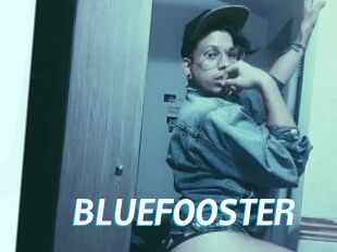 BLUEFOOSTER