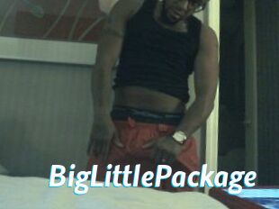 BigLittlePackage