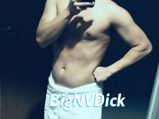 BigNVDick