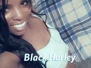 Black_Harley