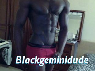 Blackgeminidude