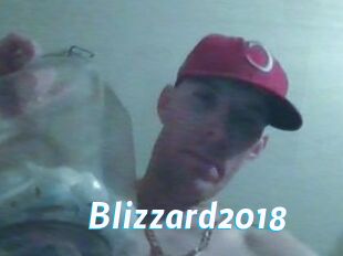 Blizzard2018