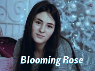 Blooming_Rose