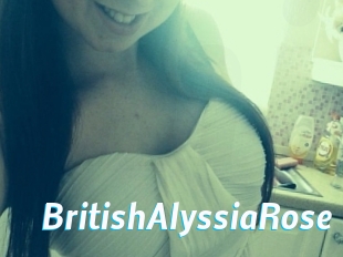 BritishAlyssiaRose