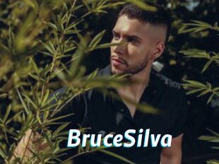 BruceSilva