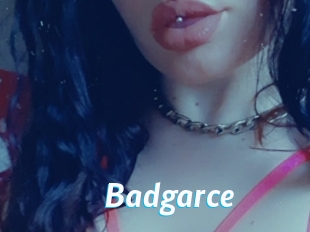 Badgarce