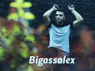 Bigassalex