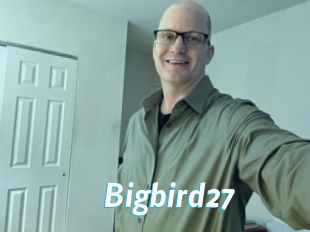 Bigbird27