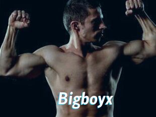 Bigboyx