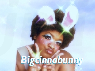 Bigcinnabunny