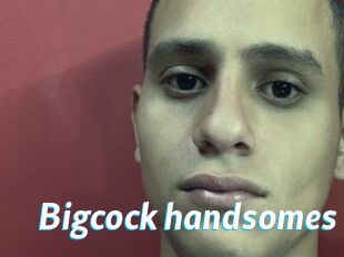 Bigcock_handsomes