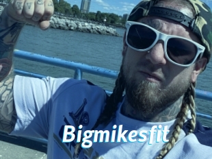 Bigmikesfit