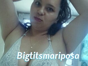 Bigtitsmariposa