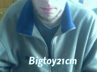 Bigtoy21cm