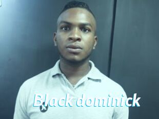 Black_dominick