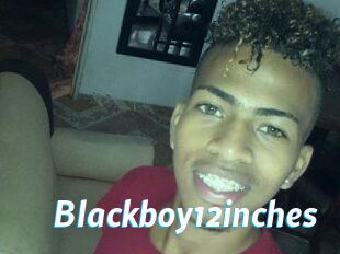 Blackboy12inches