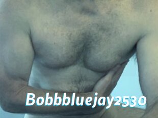 Bobbbluejay2530