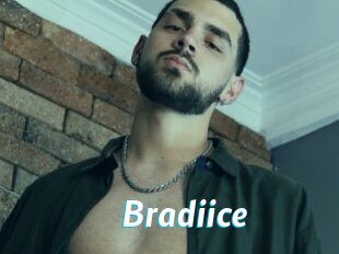 Bradiice