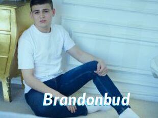 Brandonbud