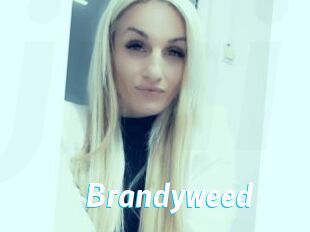 Brandyweed